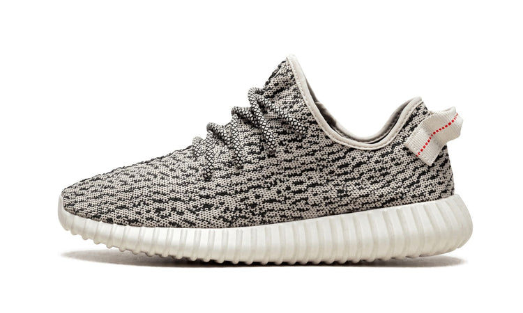Yeezy Boost 350 "Turtle Dove" AQ4832