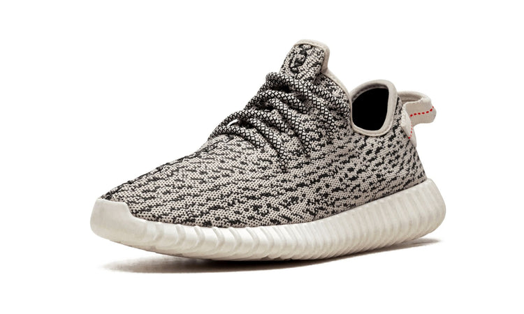 Yeezy Boost 350 "Turtle Dove" AQ4832