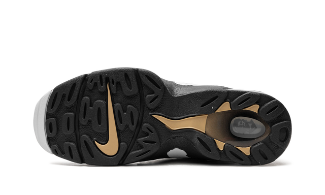 Air DT Max '96 "Colorado Away" HM9236 100