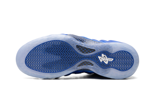 Air Foamposite One "Royal" FQ8181 511
