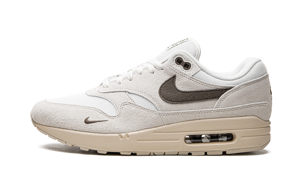 Air Max 1 &quot;Sail Ironstone&quot; DZ4494 100