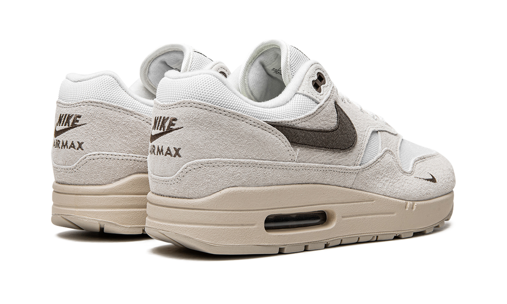 Air Max 1 &quot;Sail Ironstone&quot; DZ4494 100