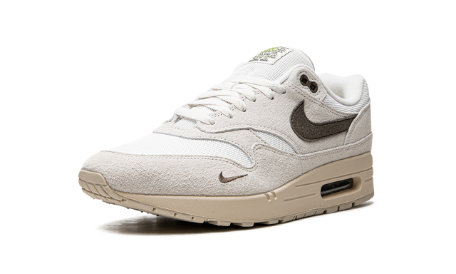 Air Max 1 "Sail Ironstone" DZ4494 100