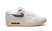 Air Max 1 "Sail Ironstone" DZ4494 100