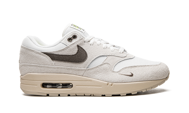 Air Max 1 &quot;Sail Ironstone&quot; DZ4494 100