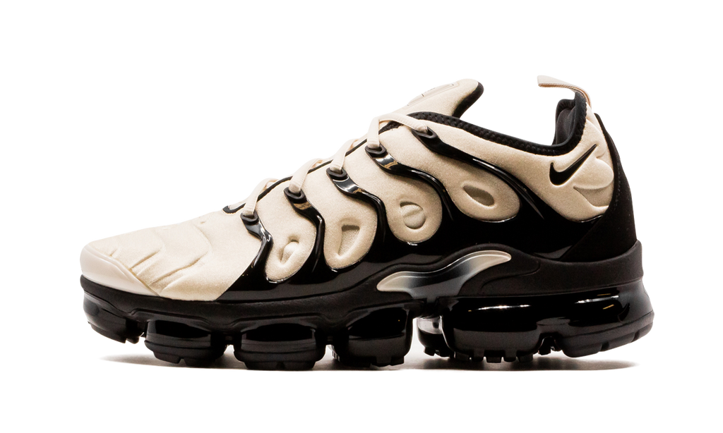 Air  VaporMax Plus DH0860 100