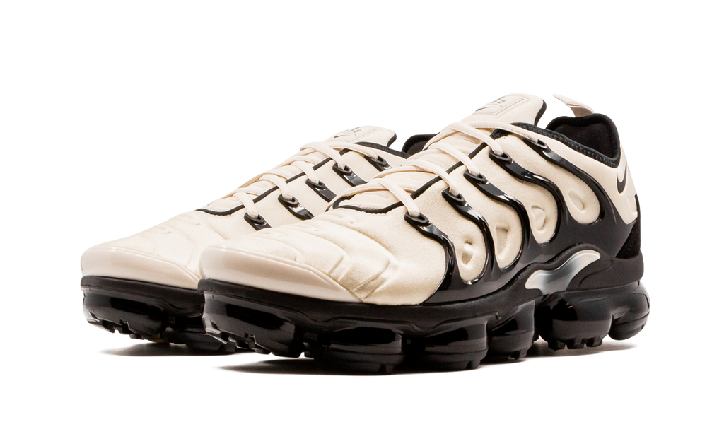 Air  VaporMax Plus DH0860 100