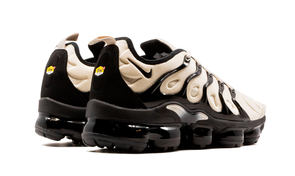 Air  VaporMax Plus DH0860 100