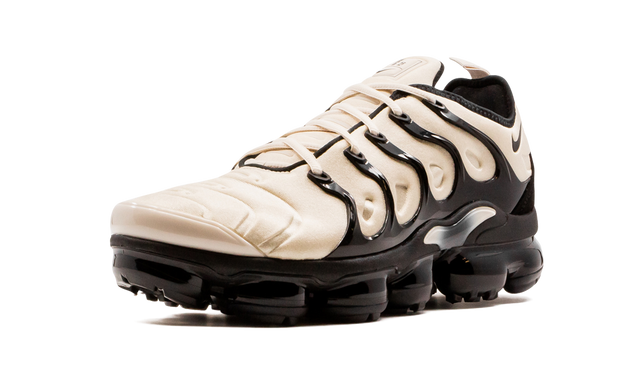 Air  VaporMax Plus DH0860 100