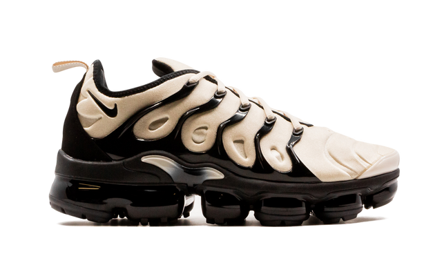 Air  VaporMax Plus DH0860 100