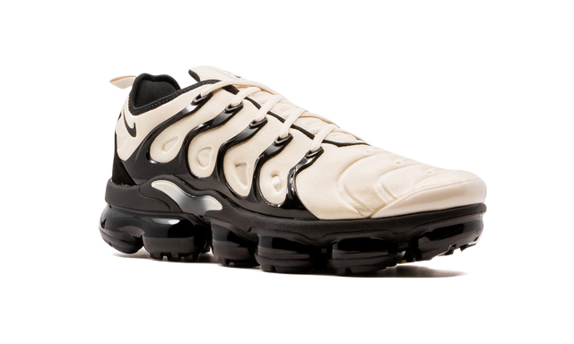 Air  VaporMax Plus DH0860 100