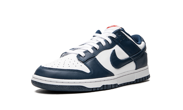 Dunk Low Retro "USA" DD1391 400