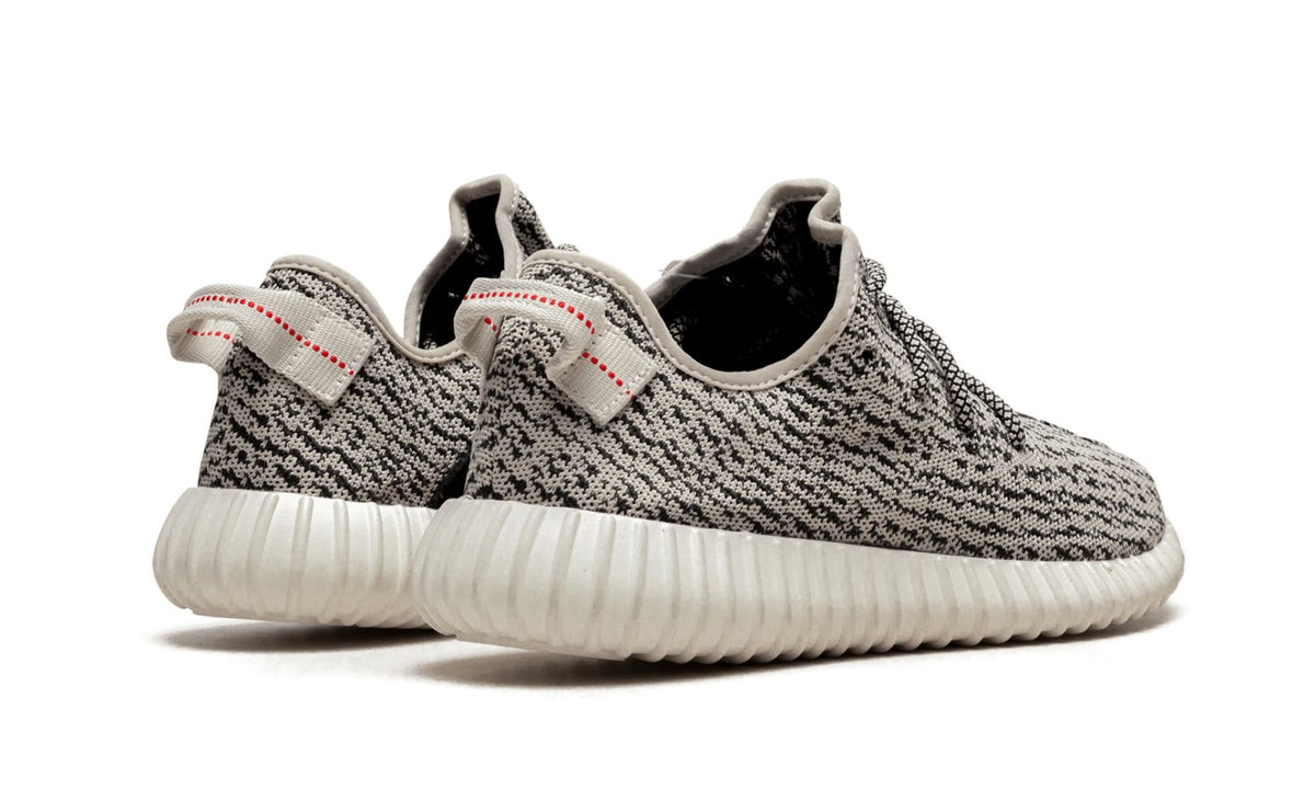 Yeezy Boost 350 &quot;Turtle Dove&quot; AQ4832