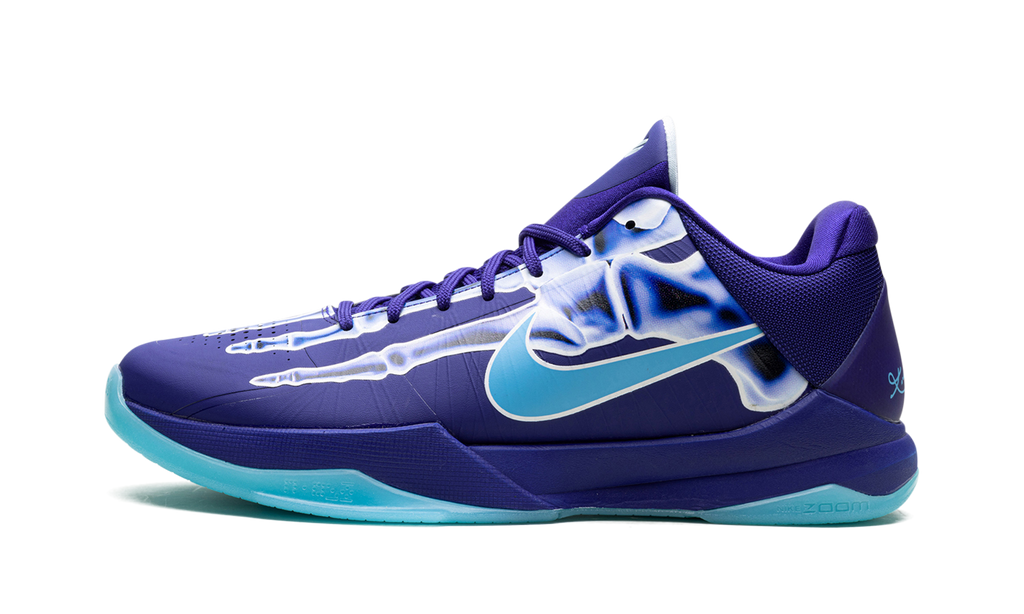 Zoom Kobe 5 Protro "X-Ray" HJ4303 400