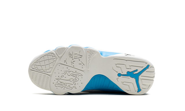 Air Jordan 9 GS "Powder Blue" FV0143 101